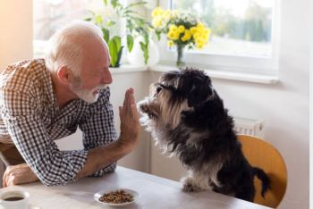 Assisted living facilities that allow pets