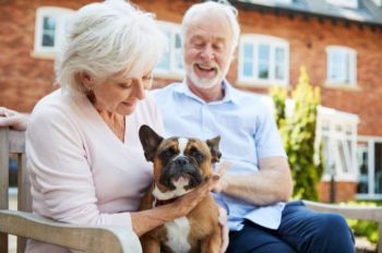 Pet therapy in senior living communities