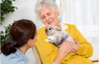 Questions to Ask a Pet-Friendly Assisted Living Community